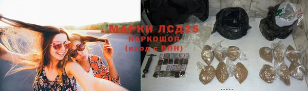 дмт Абаза