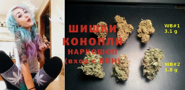 дмт Абаза
